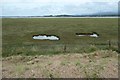 SH4459 : Pools in the salt marsh, Y Foryd by Christine Johnstone