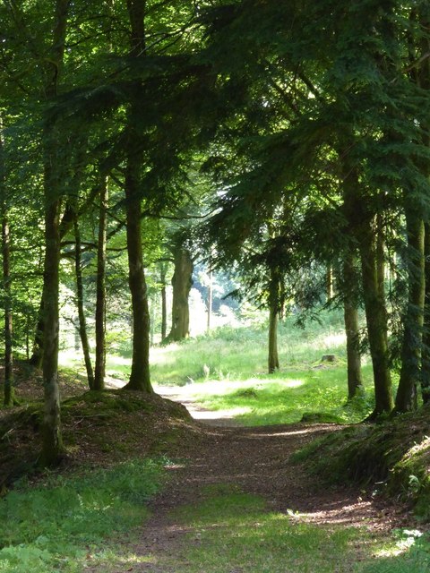 Woodland walk, Drumlanrig Woods