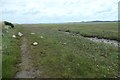 SH4458 : Rocks fallen from the sea wall, near Morfa Lodge by Christine Johnstone