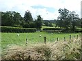 SH8931 : Sheep grazing between the railway and the B4403 by Christine Johnstone