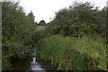 TM0732 : Dedham Old River, at 56 Gates sluice by Christopher Hilton