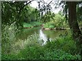 SO8552 : The confluence of the River Teme and Severn by Philip Halling