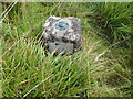 NH1558 : Ordnance Survey Fundamental Bench Mark by Peter Wood