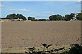 SE7122 : Bare field south of Percy Lodge by Christine Johnstone