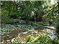 SK5453 : Newstead Abbey Gardens  Japanese Garden by Alan Murray-Rust