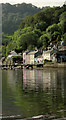 SX8654 : Lower Dittisham by Derek Harper