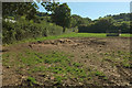 SX8074 : Field near Hill Farm by Derek Harper