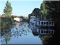 SU8201 : Houseboats on the Chichester Canal by Oliver Dixon