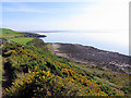 NX8652 : Glenstocken Shore by Andrew Curtis