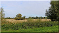 SJ9320 : Radford Meadows near Stafford by Roger  D Kidd