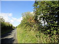 NZ1148 : Autumn hedge along the lane by Robert Graham