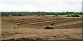 TQ0845 : Surrey County Ploughing Match 2019 by Peter Trimming