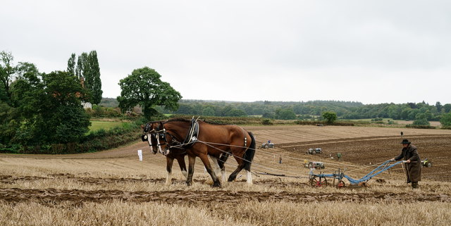 Surrey County Ploughing Match 2019