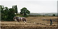 TQ0845 : Surrey County Ploughing Match 2019 by Peter Trimming