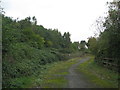 SP1399 : Towards Turf Pits Lane - Roughley, West Midlands by Martin Richard Phelan