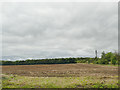 SE4432 : Bare field south of Micklefield by Stephen Craven