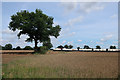 TL9591 : Animal tents near Great Hockham by Hugh Venables