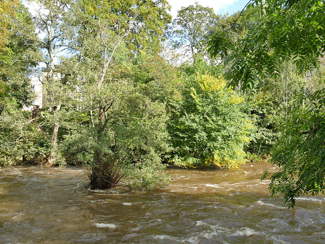 River Aire downstream