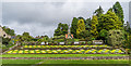 NU0602 : Floral display, Formal Garden, Cragside by Ian Capper