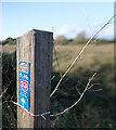 ST3156 : Waymarker by Bob Harvey