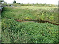 TL9227 : River Colne near Fordham Bridge by Geographer