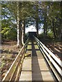 NO4626 : Footbridge to the Christie Hide by Oliver Dixon