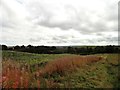 NZ2647 : View from the field path at Plawsworth Gate by Robert Graham