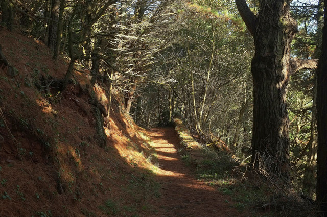 Coast path, The Warren