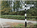 NY5146 : Cumberland County Council signpost, east of Armathwaite by Christine Johnstone