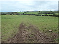 NY5146 : Pasture field, east bank of the River Eden by Christine Johnstone