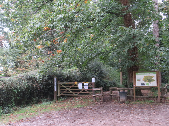 Well Wood, near West Wickham