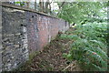 SE1522 : Overgrown footpath along the SW bank of the River Calder by Luke Shaw