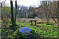 NX9891 : Plaque in Forest of Ae by Jim Barton