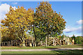 SO7584 : Play area in the Severn Valley Country Park by Roger  D Kidd