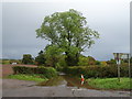 SO3011 : Flooded road towards Great Hardwick by JThomas