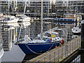 J3474 : Yacht 'Creeky' at Belfast by Rossographer