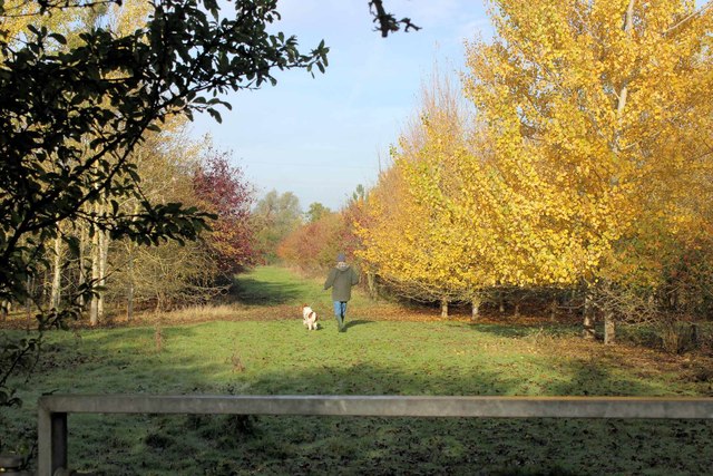 Footpath to Dry Drayton through the Edwards Woodland