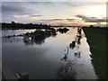 TL4381 : The Old Bedford River lost in the flood water at Mepal - The Ouse Washes by Richard Humphrey