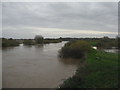 SK7956 : The River Trent at South Muskham by M J Richardson