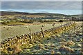 SD9590 : Dry stone wall, Askrigg Bottoms by Mick Garratt