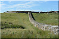 NY7968 : Housesteads Roman Fort by habiloid