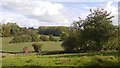 SO6657 : Farmland near Bromyard by Richard Webb