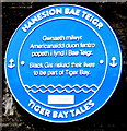 ST1875 : Tiger Bay Tales blue plaque, Bute Street, Cardiff by Jaggery