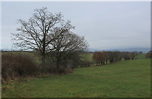  : Countryside near Four Score Acres by Chris Heaton