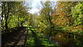 SD9201 : Fairbottom Branch Canal W of A627 at Bardsley, Oldham by Colin Park