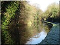 SO8172 : Staffordshire and Worcestershire Canal by Philip Halling