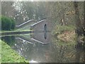 SO8273 : Bridge on the Staffordshire and Worcestershire Canal by Philip Halling