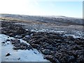 NZ0045 : Muggleswick Common by Oliver Dixon