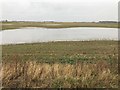 TF2708 : Flooded farmland next to Falls Farm, French Drove, Thorney by Richard Humphrey