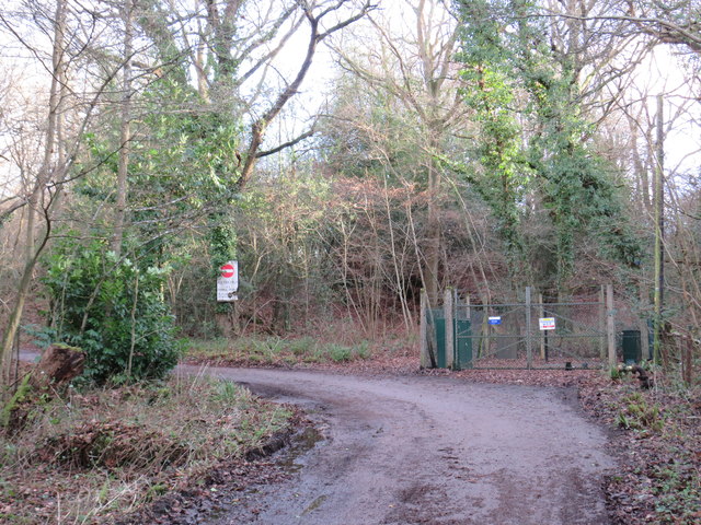 Driveway through Brown's Wood, near East Grinstead